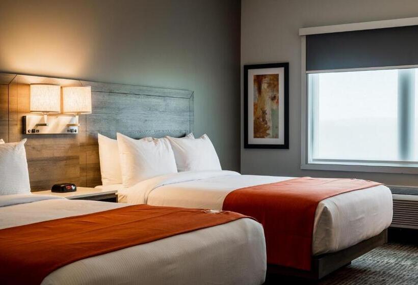هتل Amsterdam Inn & Suites Florenceville
