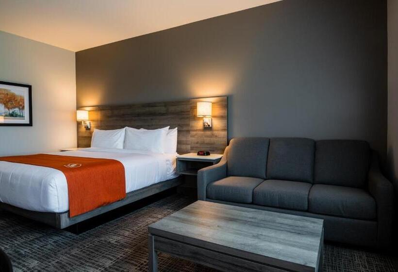 هتل Amsterdam Inn & Suites Florenceville