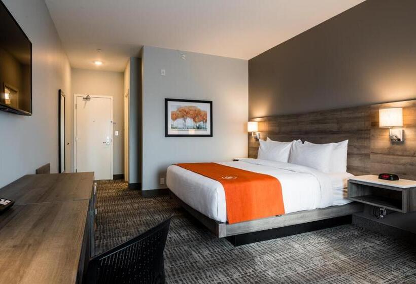 هتل Amsterdam Inn & Suites Florenceville