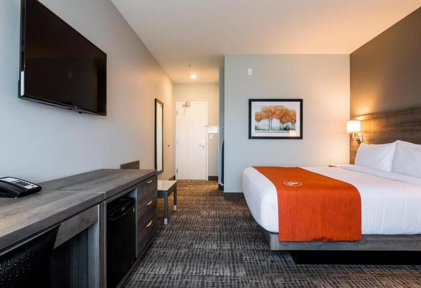 هتل Amsterdam Inn & Suites Florenceville