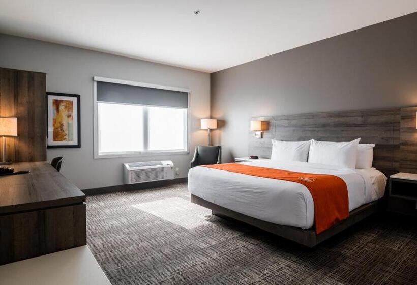 هتل Amsterdam Inn & Suites Florenceville