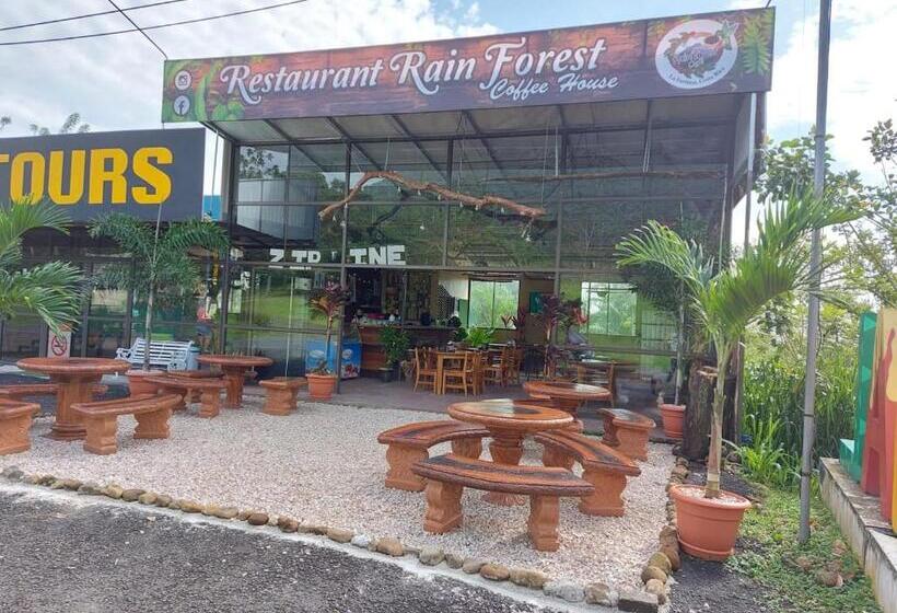 هتل Palmera Real Hot Springs