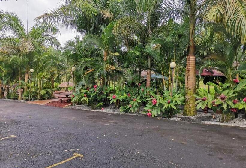 هتل Palmera Real Hot Springs