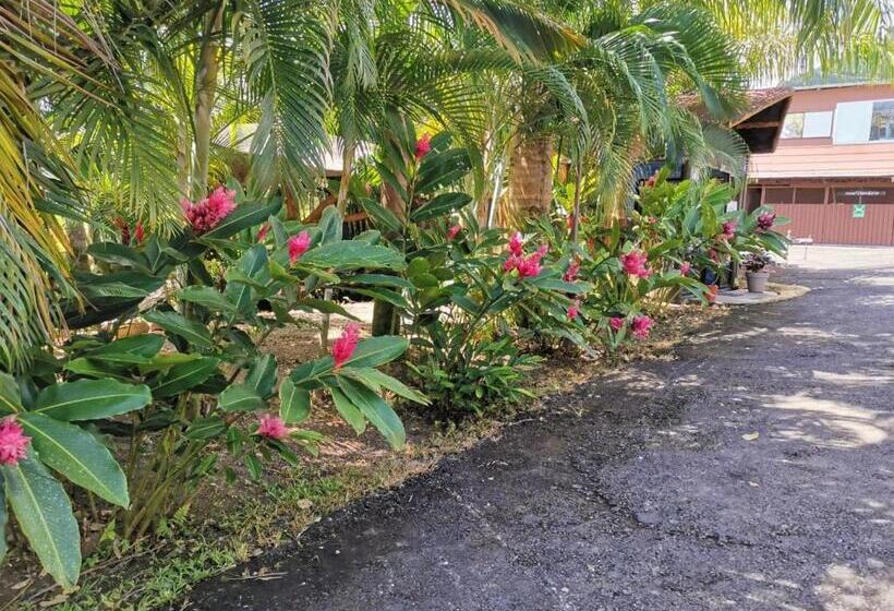 هتل Palmera Real Hot Springs