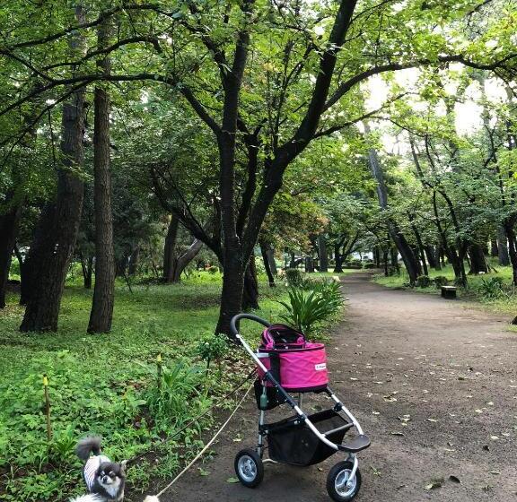 هاستل 沼津ライダーハウスしんちゃん