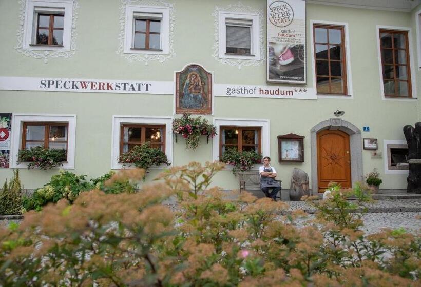 הוסטל Gasthof Haudum