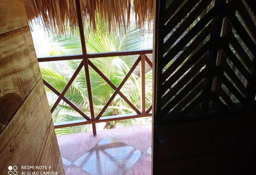 پانسیون Hostal Belleza Tropical