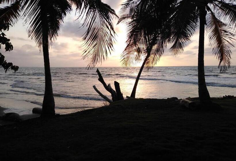 پانسیون Hostal Belleza Tropical