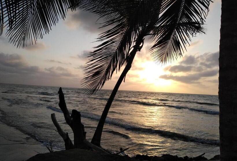 پانسیون Hostal Belleza Tropical