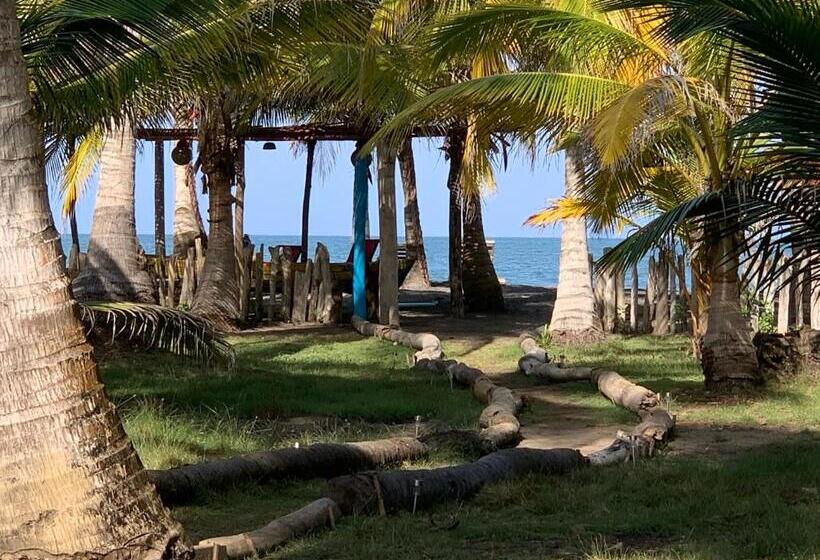 پانسیون Playa Jaguar   Beach Club