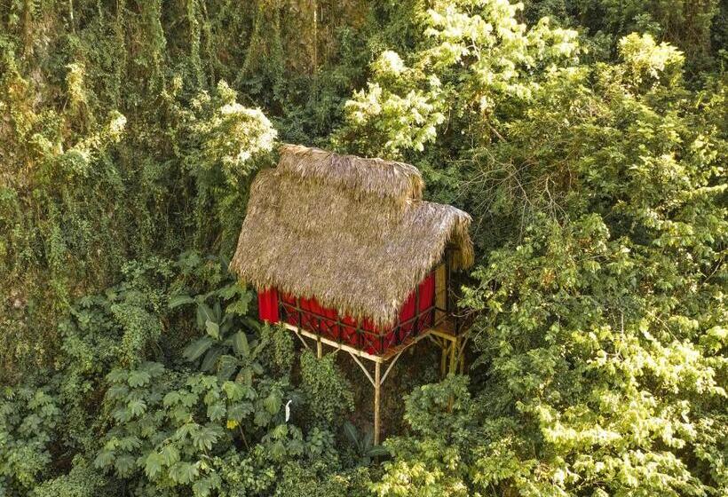 استراحتگاه Dominican Tree House Village