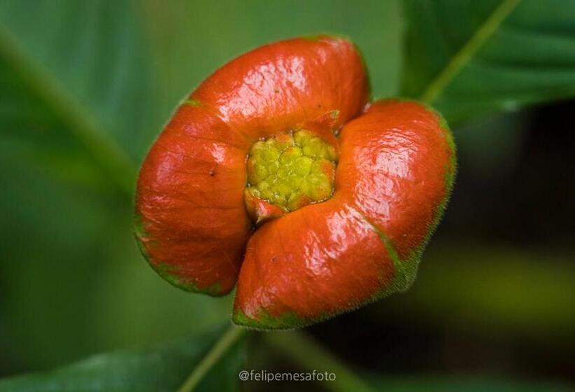 هتل Safio. Una Casa En El Paraiso