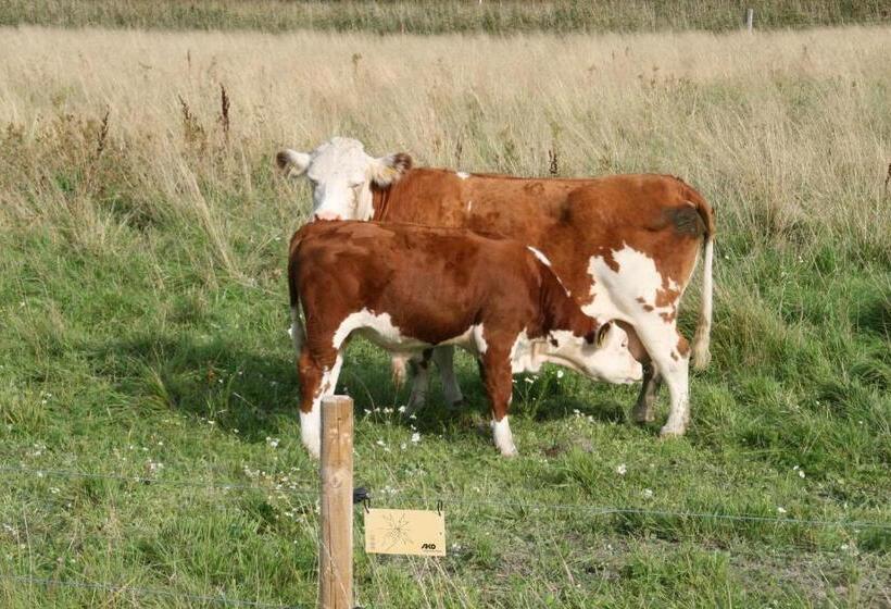 ホテル Villa Ekbladh