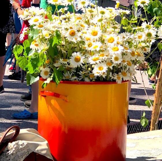 ホテル Villa Ekbladh