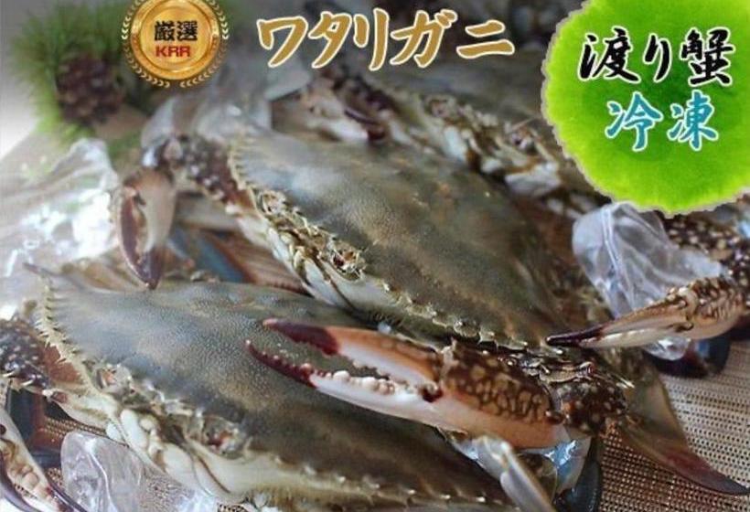 Пансион オーベルジュ美の浜 流石