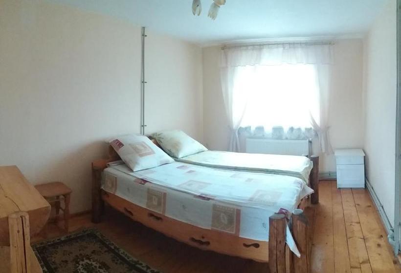 پانسیون колорит