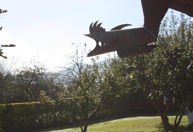 فندق صغير Alojamiento Rural San Pedro