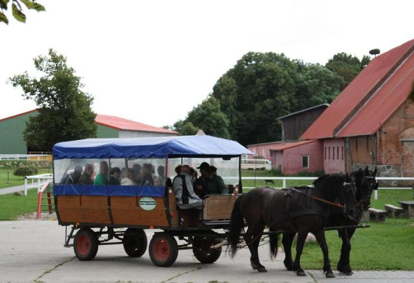 住宿加早餐  Gästehaus Landgut Lischow