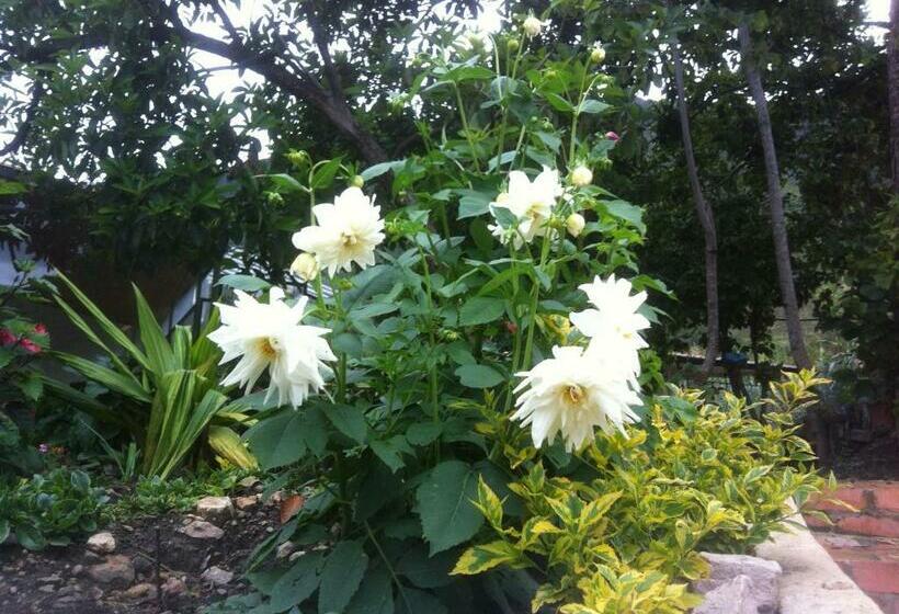 בית מלון כפרי Casa Medina