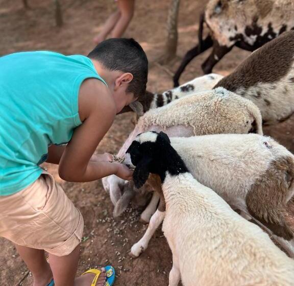 ホテル Fazenda Minas Real