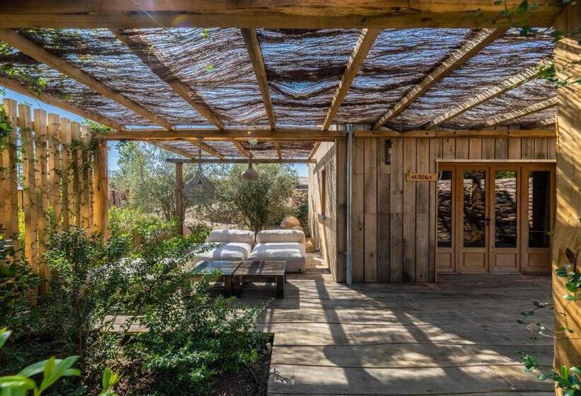 پانسیون Domaine De Casanghjulina