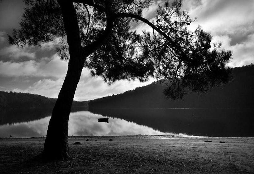 膳宿费 Merlin Les Pieds Dans L Eau