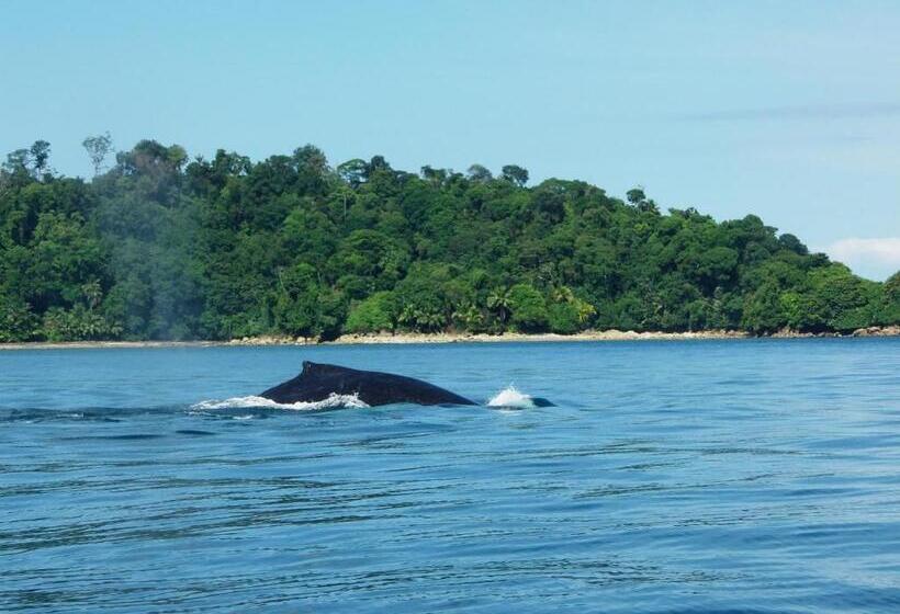 هتل Cabañas Refugio Salomon
