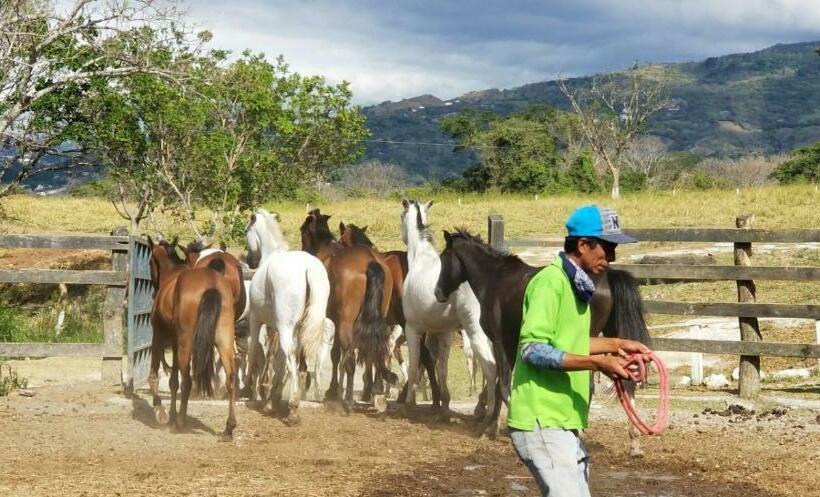 فندق Hacienda El Rodeo