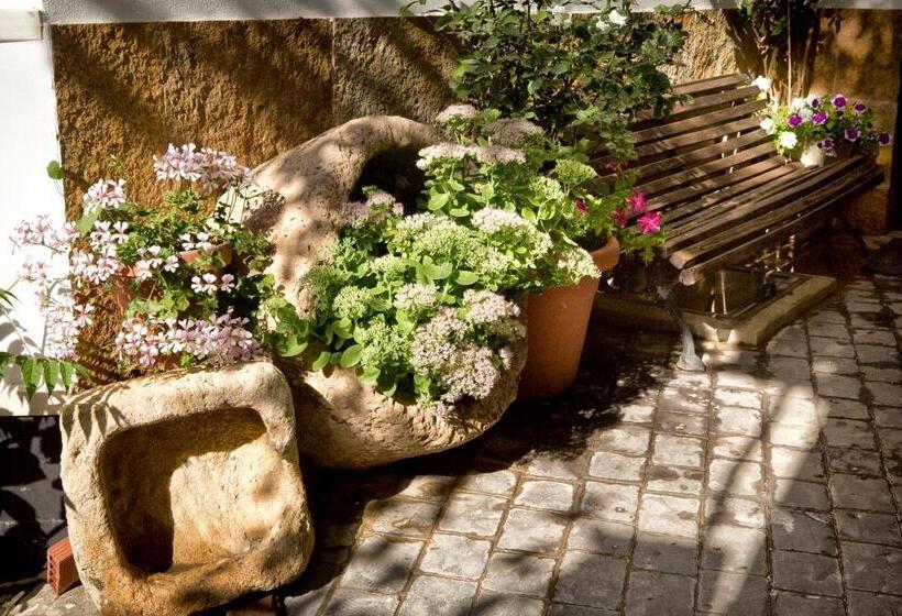 پانسیون Hostal Soledao