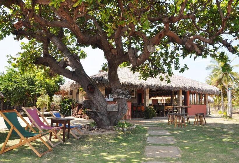 פנסיון Casa De Caboclo