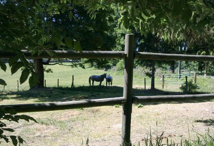 膳宿费 Domaine D Angel Berg