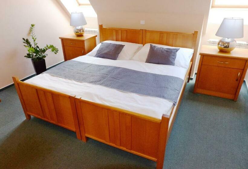 پانسیون Penzion Moravský Sommeliér