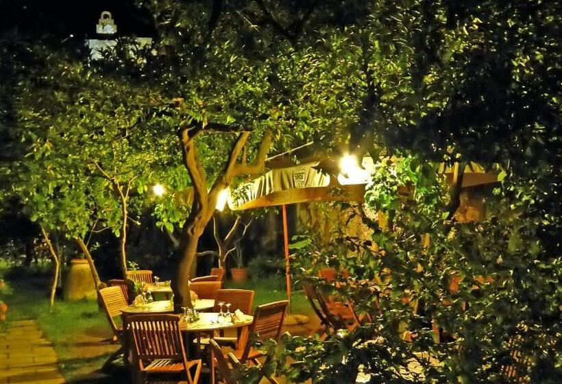 هتل Albergo Lungomare