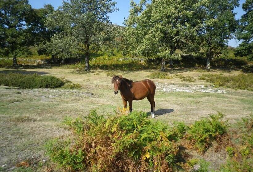 בית מלון כפרי Casa De Dentro   Capitão Mor