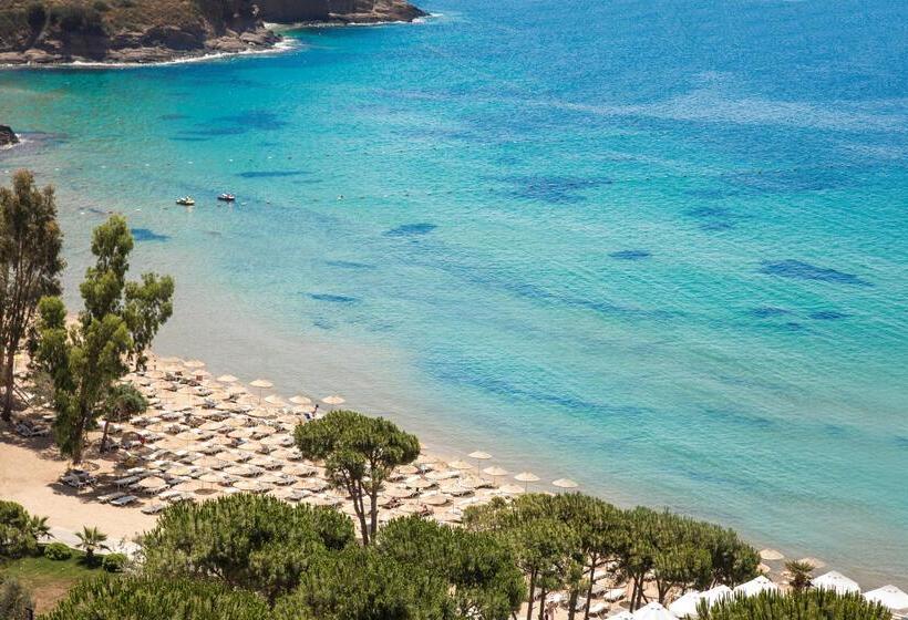 هتل Aria Claros Beach & Spa Resort – All Inclusive 24h