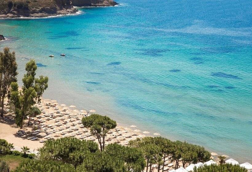 هتل Aria Claros Beach & Spa Resort – All Inclusive 24h