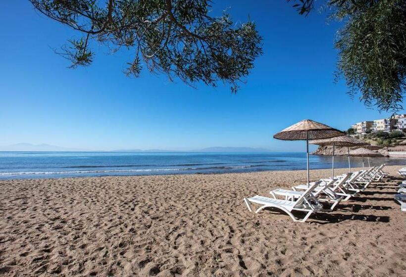 هتل Aria Claros Beach & Spa Resort – All Inclusive 24h