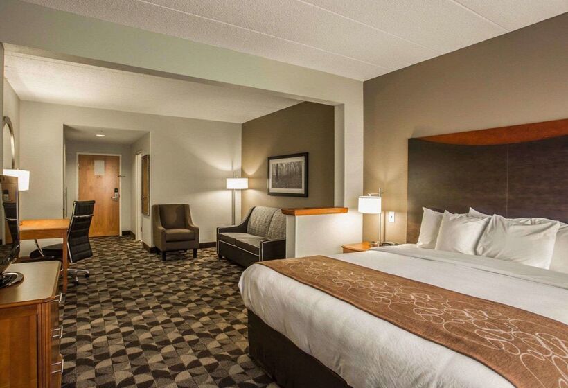 Hotel Comfort Suites Columbia At Harbison