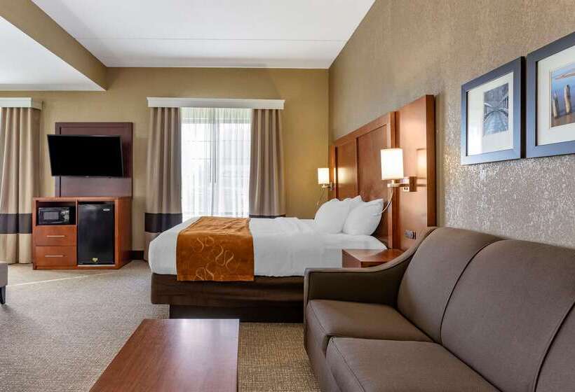 هتل Comfort Suites Grand Rapids South