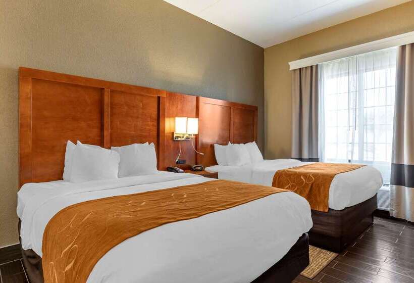 هتل Comfort Suites Grand Rapids South
