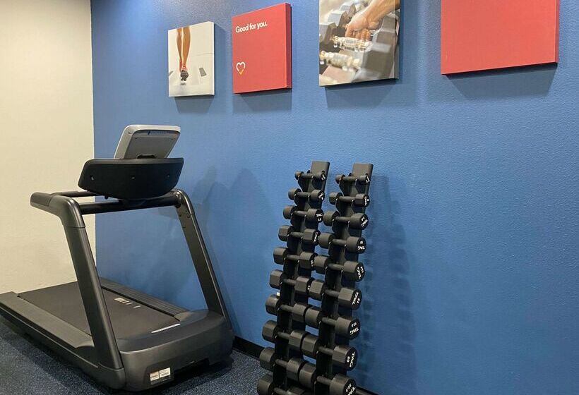 فندق Comfort Suites Kings Bay Naval Base Area