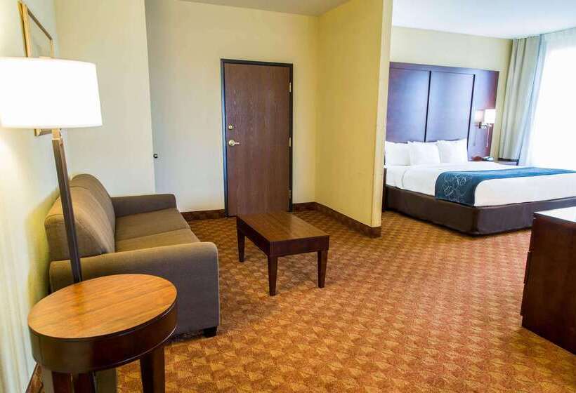 هتل Comfort Suites Fort Worth North Fossil Creek
