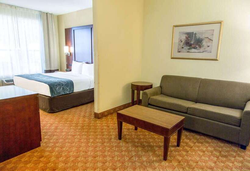 هتل Comfort Suites Fort Worth North Fossil Creek