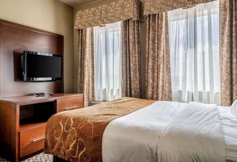 ホテル Comfort Suites Near Texas State University