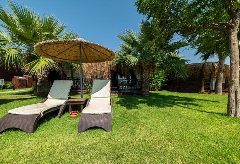هتل Flora Garden Beach Club   All Inclusive