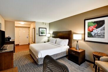 هتل Hilton Garden Inn Tampa North Busch Gardens
