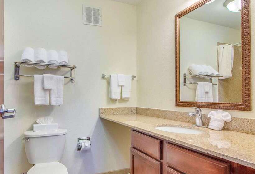 Hotel Mainstay Suites Texas Medical Center/reliant Park