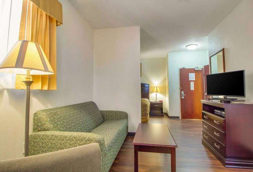هتل Mainstay Suites Texas Medical Center Reliant Park