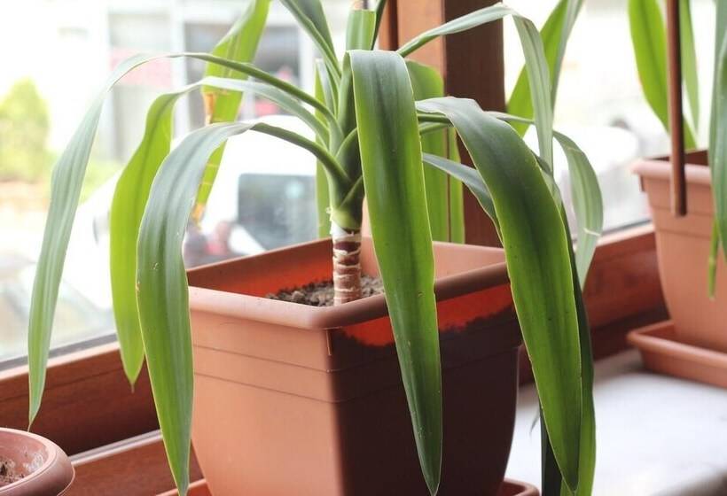 Fotos del hotel Melita:  23