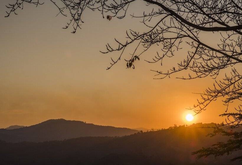 هتل Phu Chaisai Chiang Rai Mountain Resort